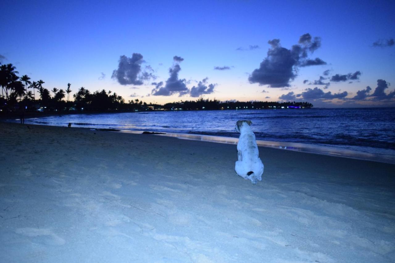 La Dolce Vita Beachfront Hotels, Las Terrenas, Samana Экстерьер фото